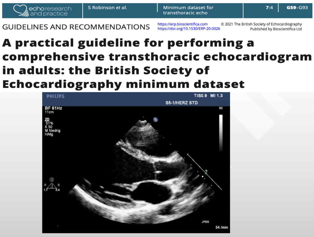 Stepwise Reconstruction of the 2020 BSE Minimum Dataset for Adult Transthoracic Echocardiography